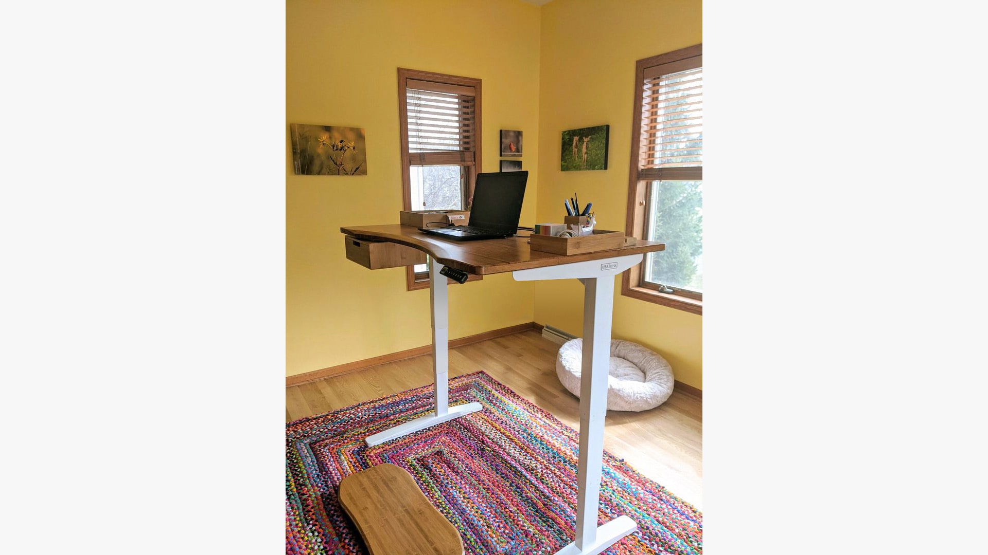 Bamboo Curve V2 Standing Desk