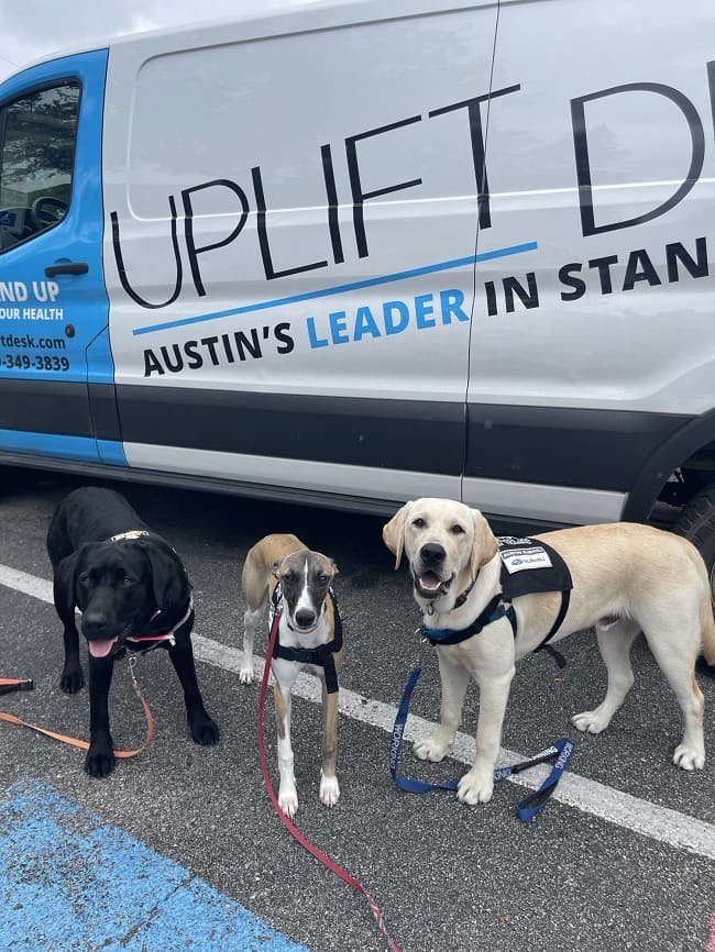Three dogs in front of an UPLIFT Desk delivery van